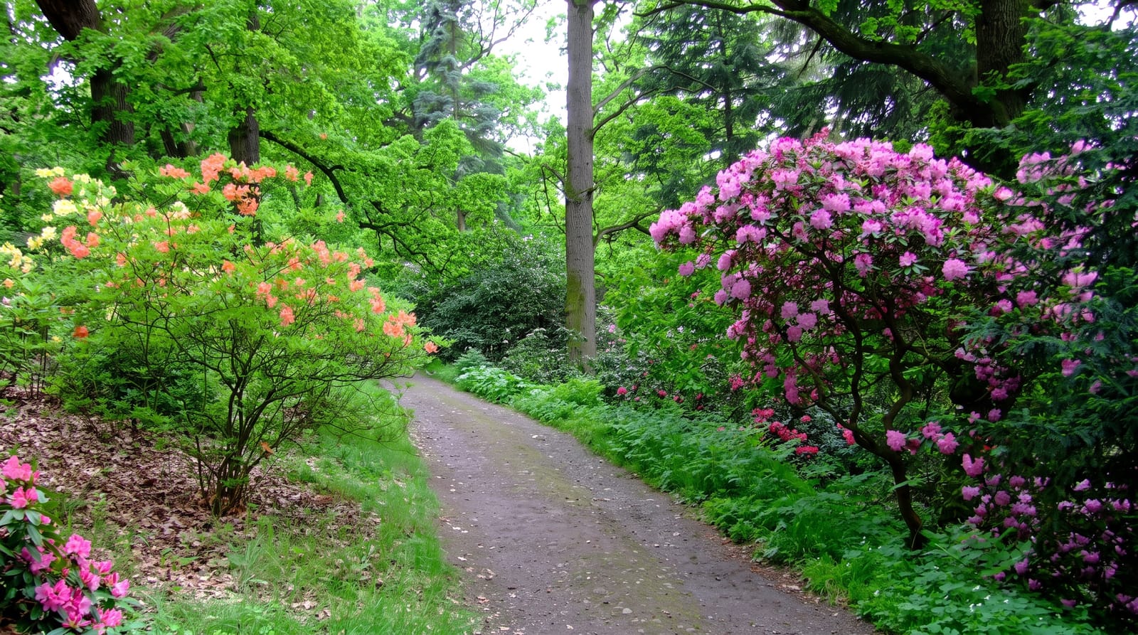 Pruhonice Park