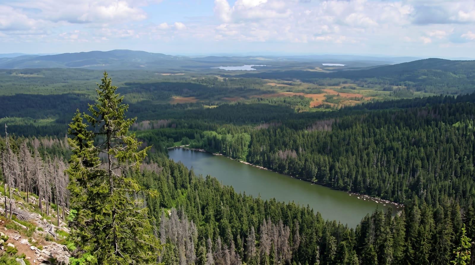 Sumava National Park