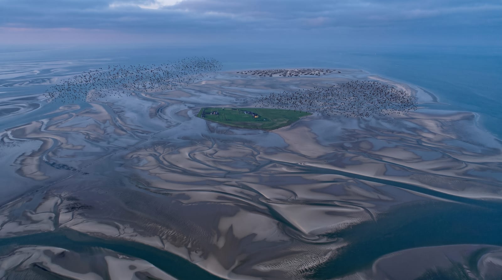 Wadden Sea