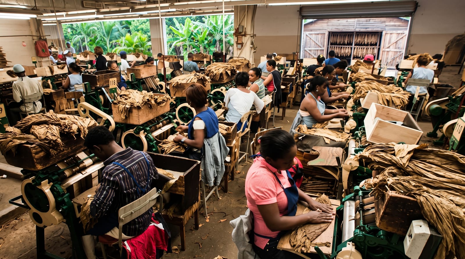 Dominican Cigars