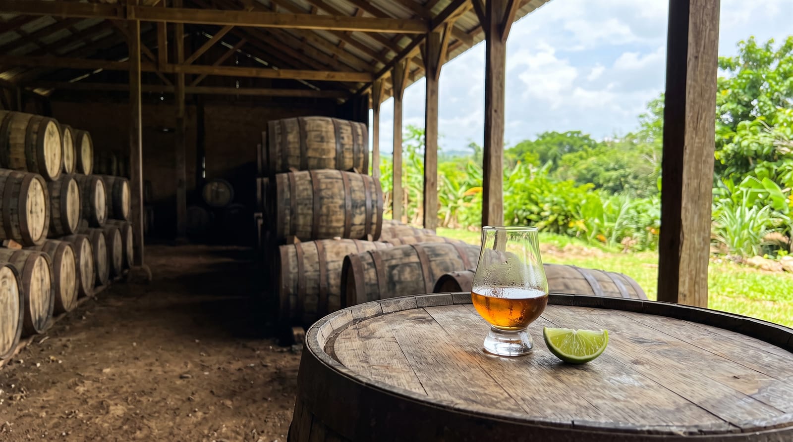 Dominican Rum