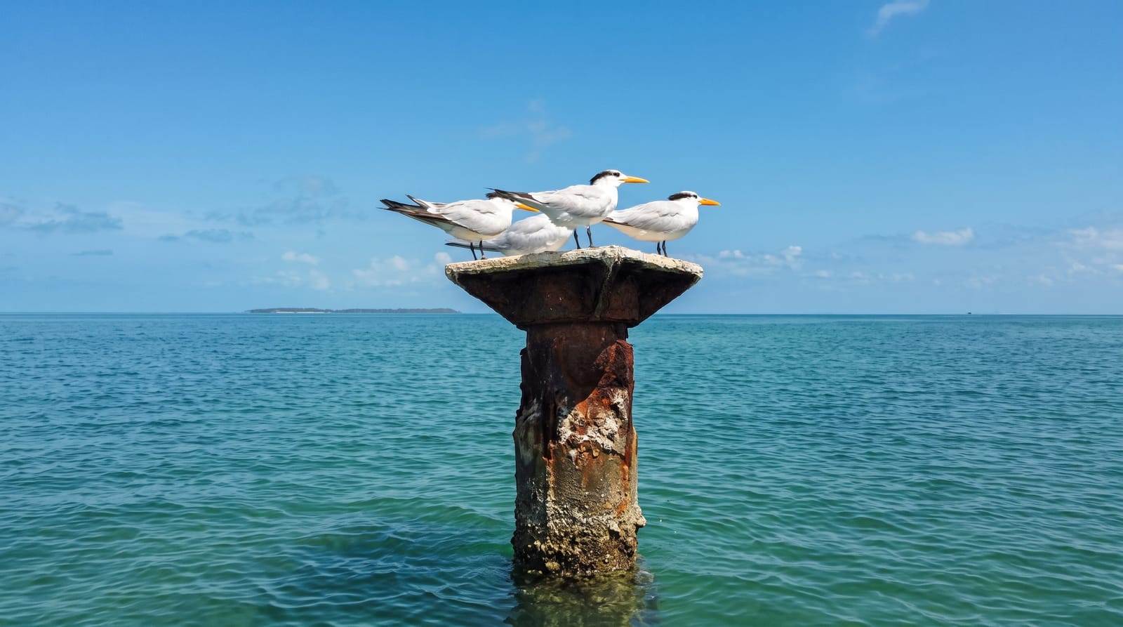 Los Haitises National Park