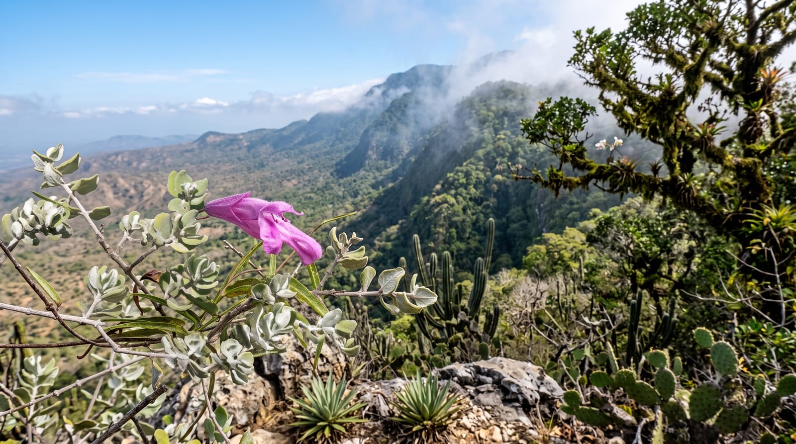 Sierra de Bahoruco