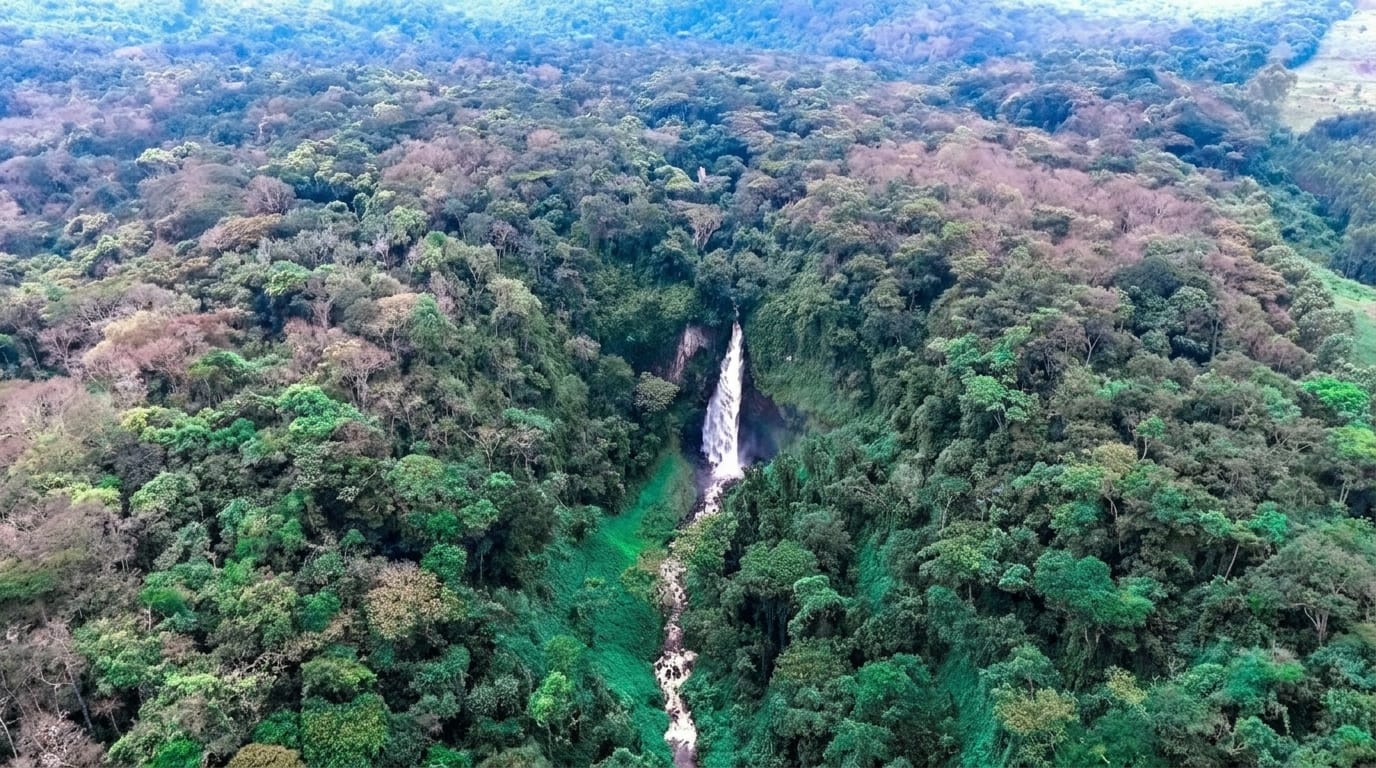Kahuzi-Biega National Park
