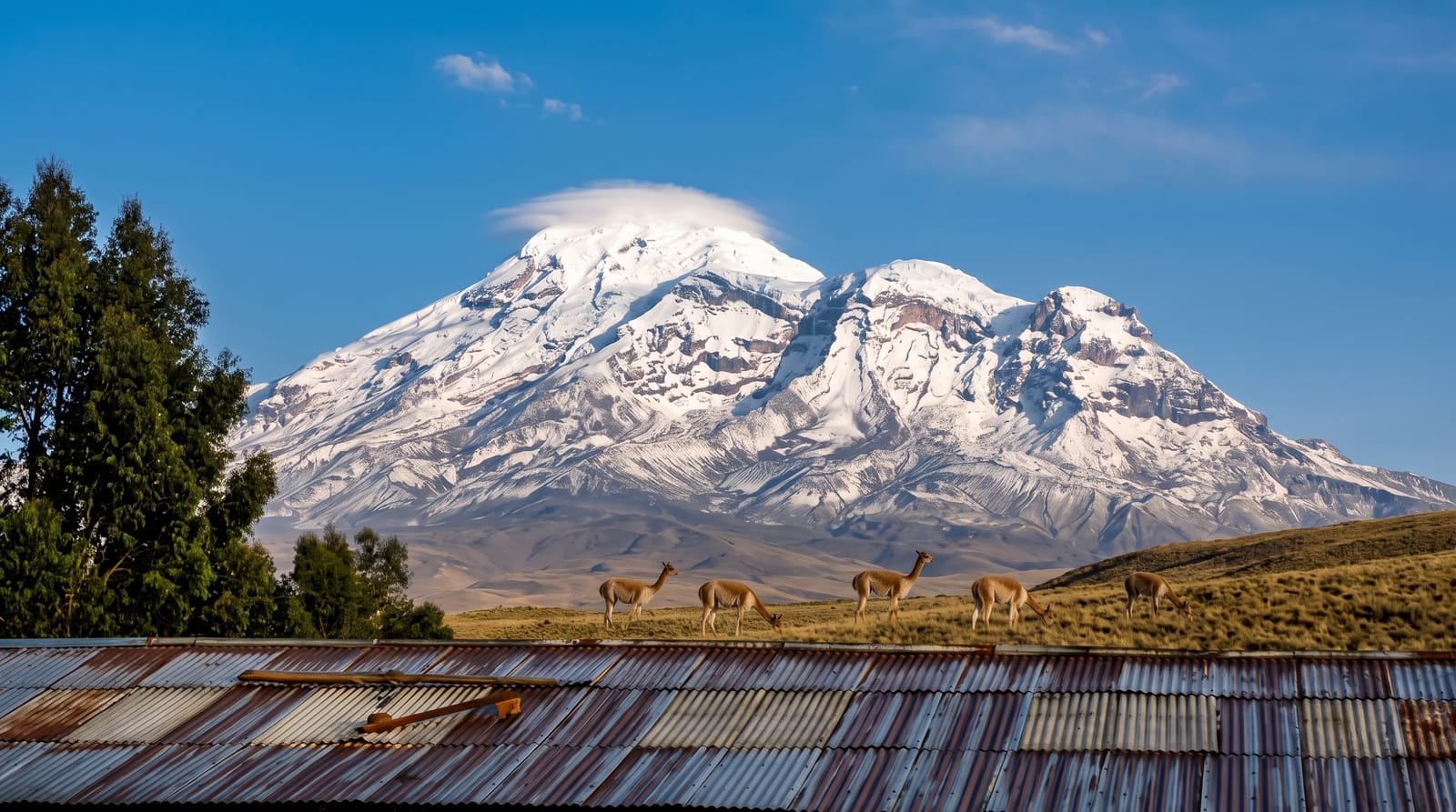 Chimborazo