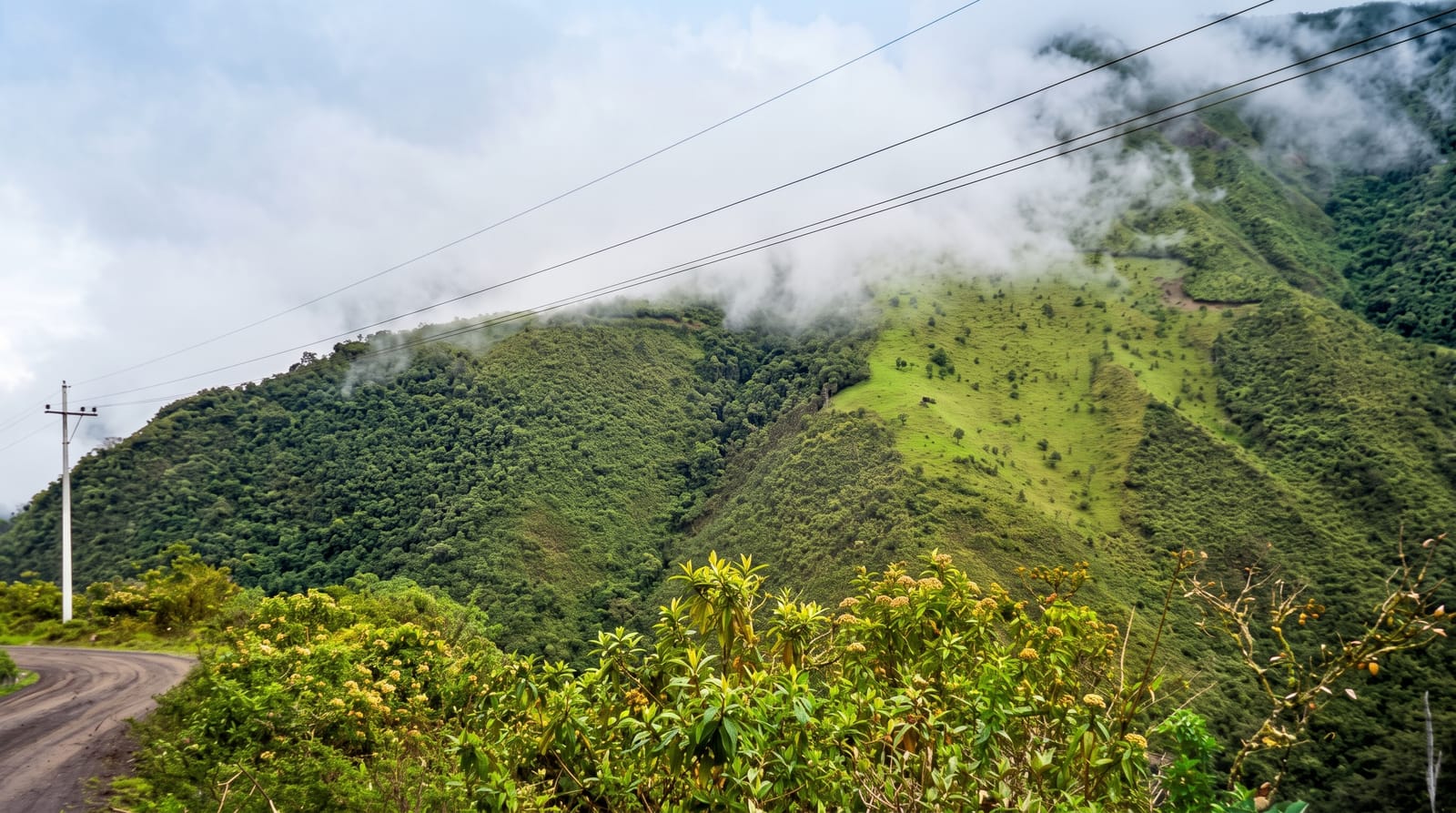 Mindo Cloud Forest