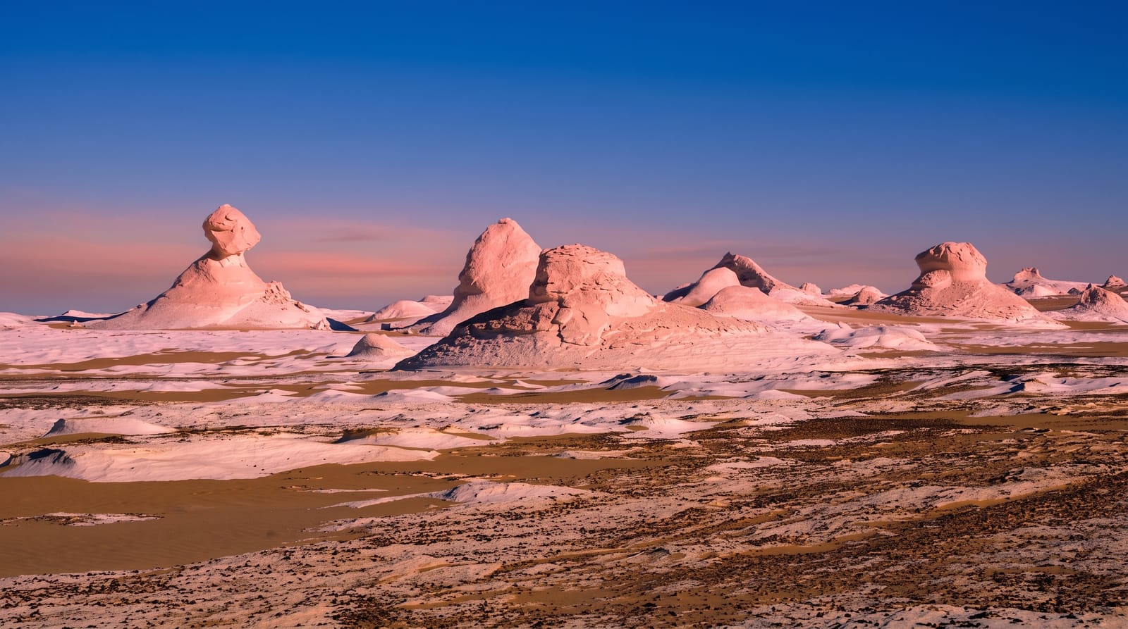The White Desert