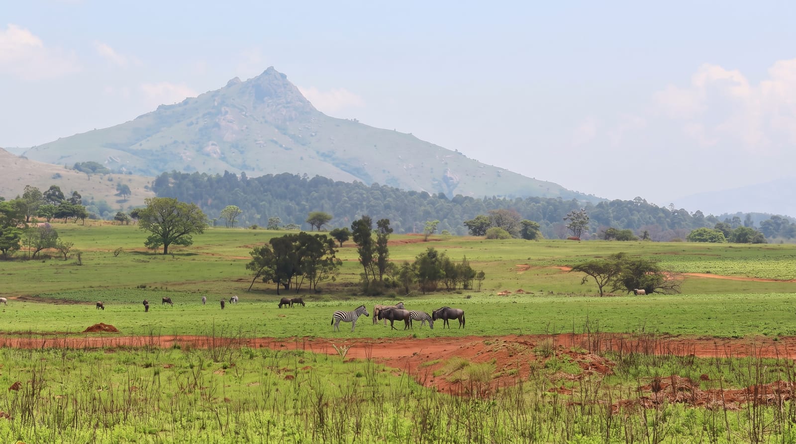 Mlilwane Wildlife Sanctuary