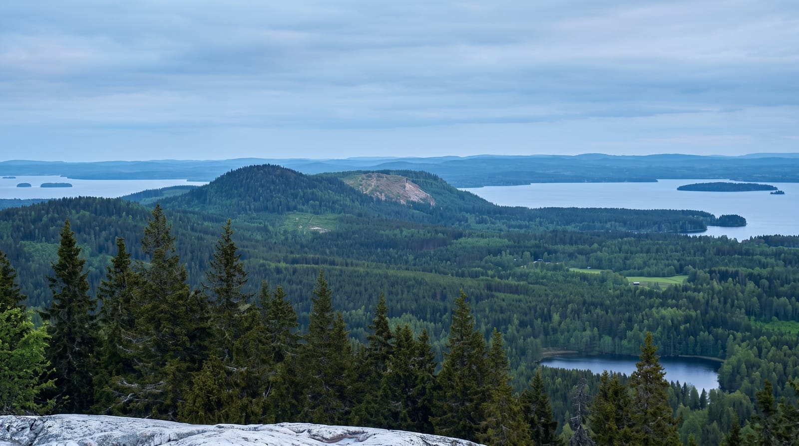 Koli National Park
