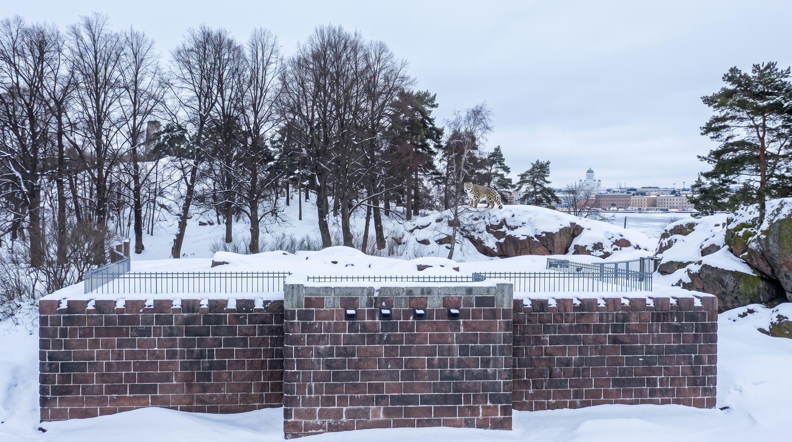 Korkeasaari Zoo
