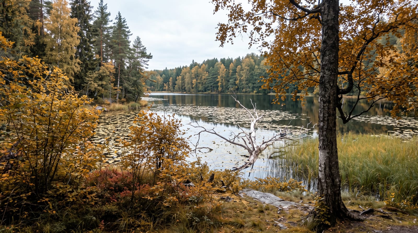 Nuuksio National Park