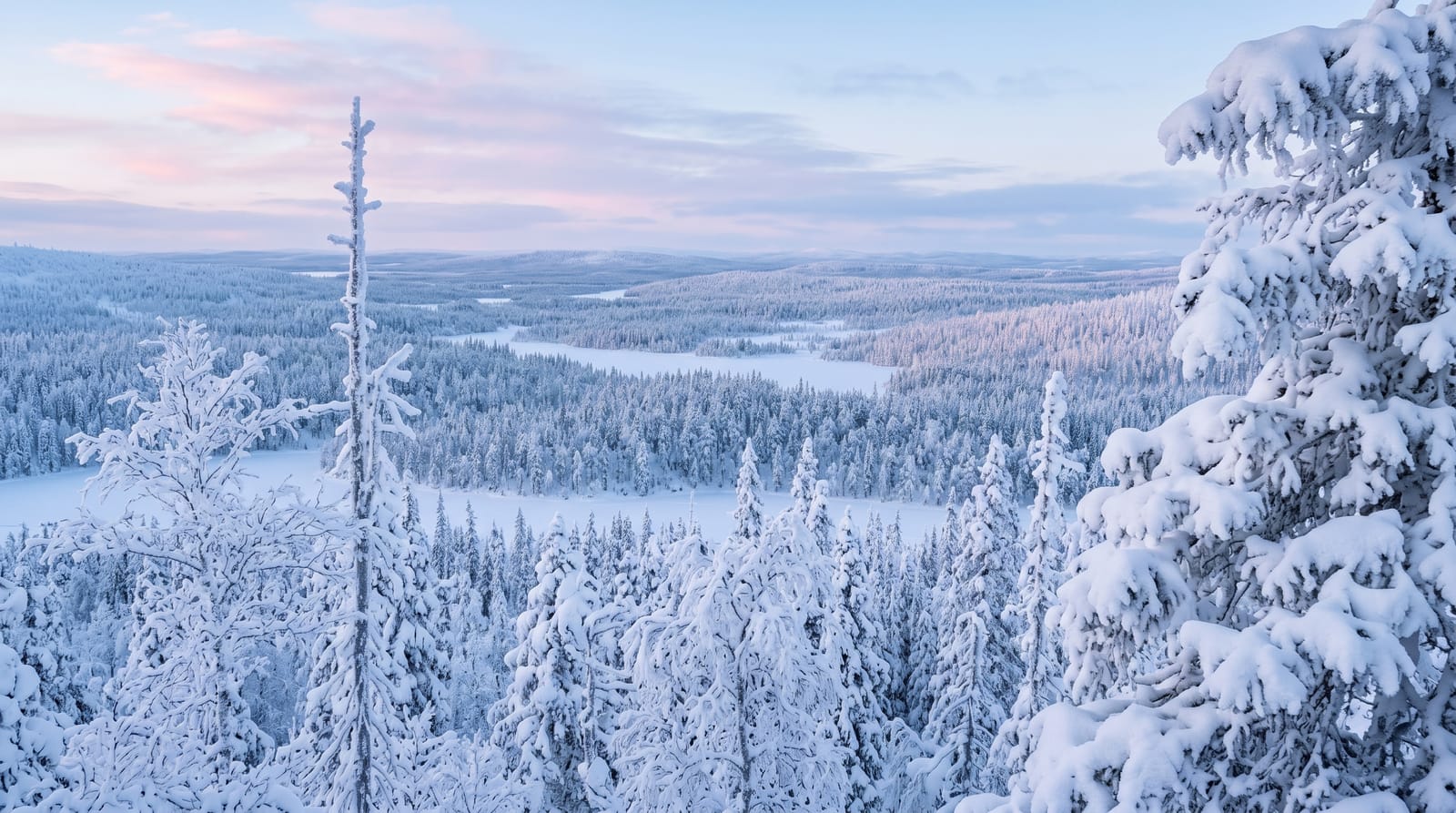 Riisitunturi National Park