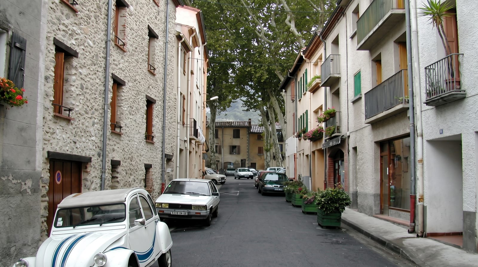 Ceret