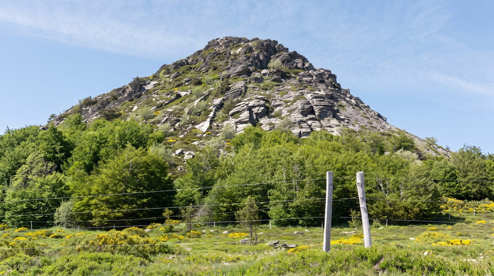 Mont Gerbier de Jonc