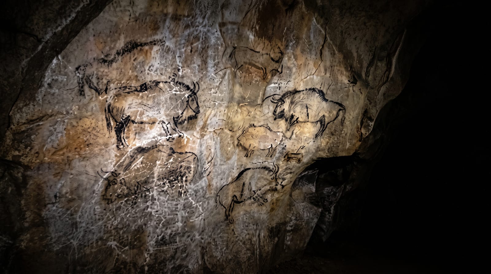 Niaux Cave