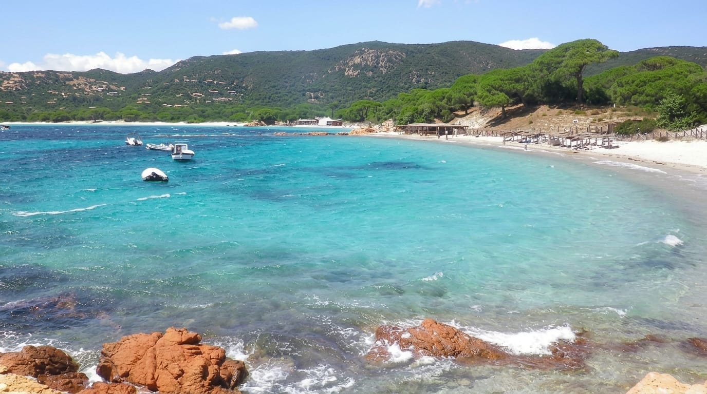 Palombaggia Beach