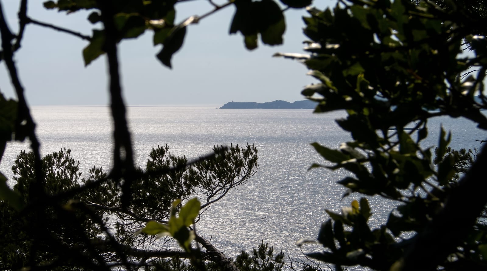Port-Cros National Park