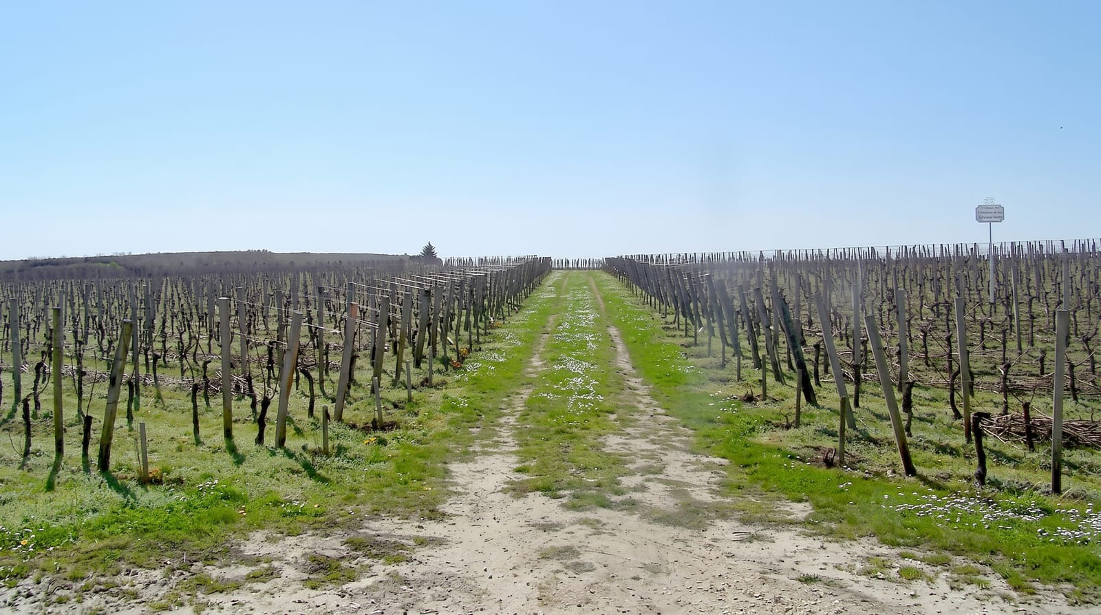 Saint-Emilion