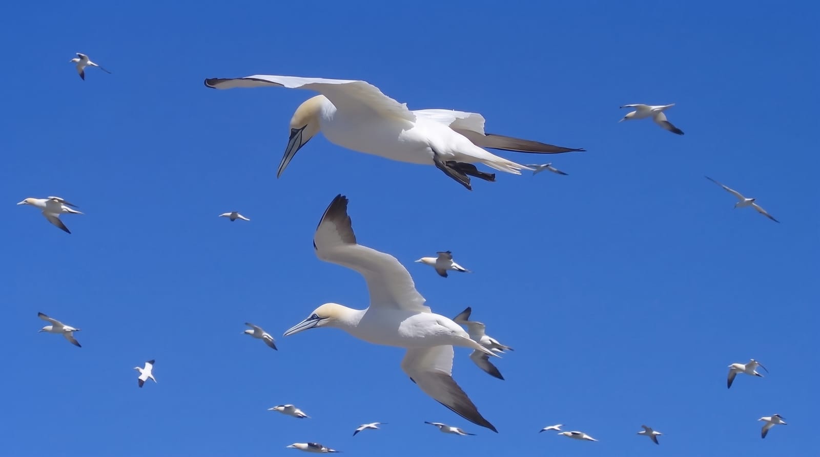 Sept-Iles Reserve