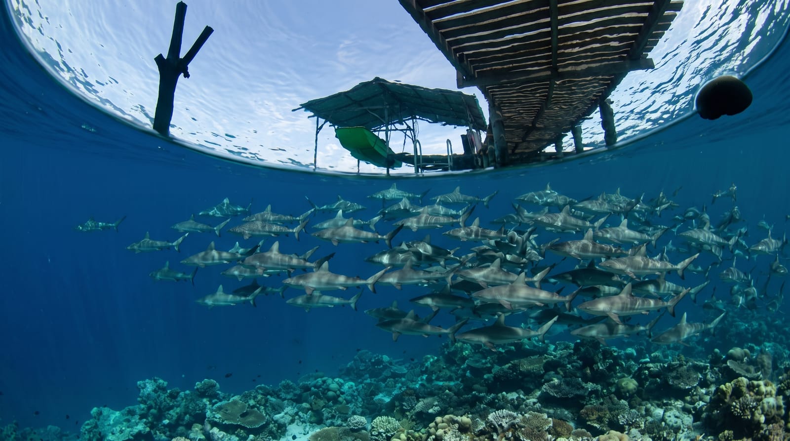 Fakarava