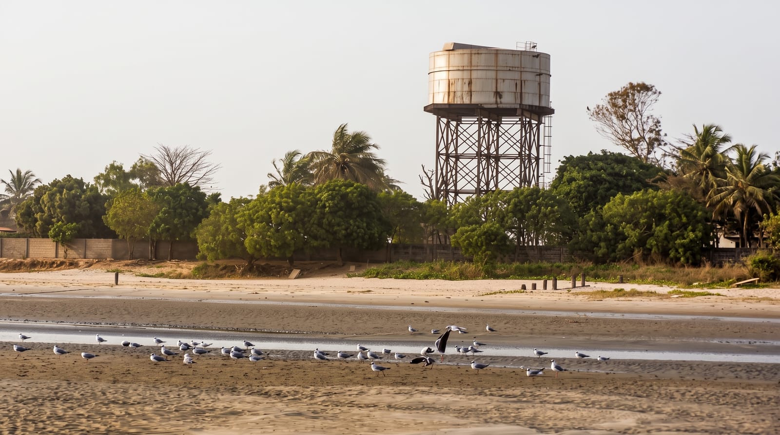 The Gambian Coast