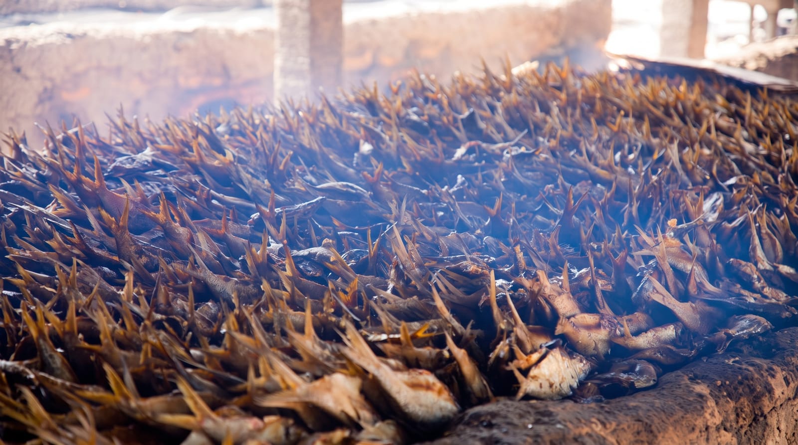 Tanji Fish Market
