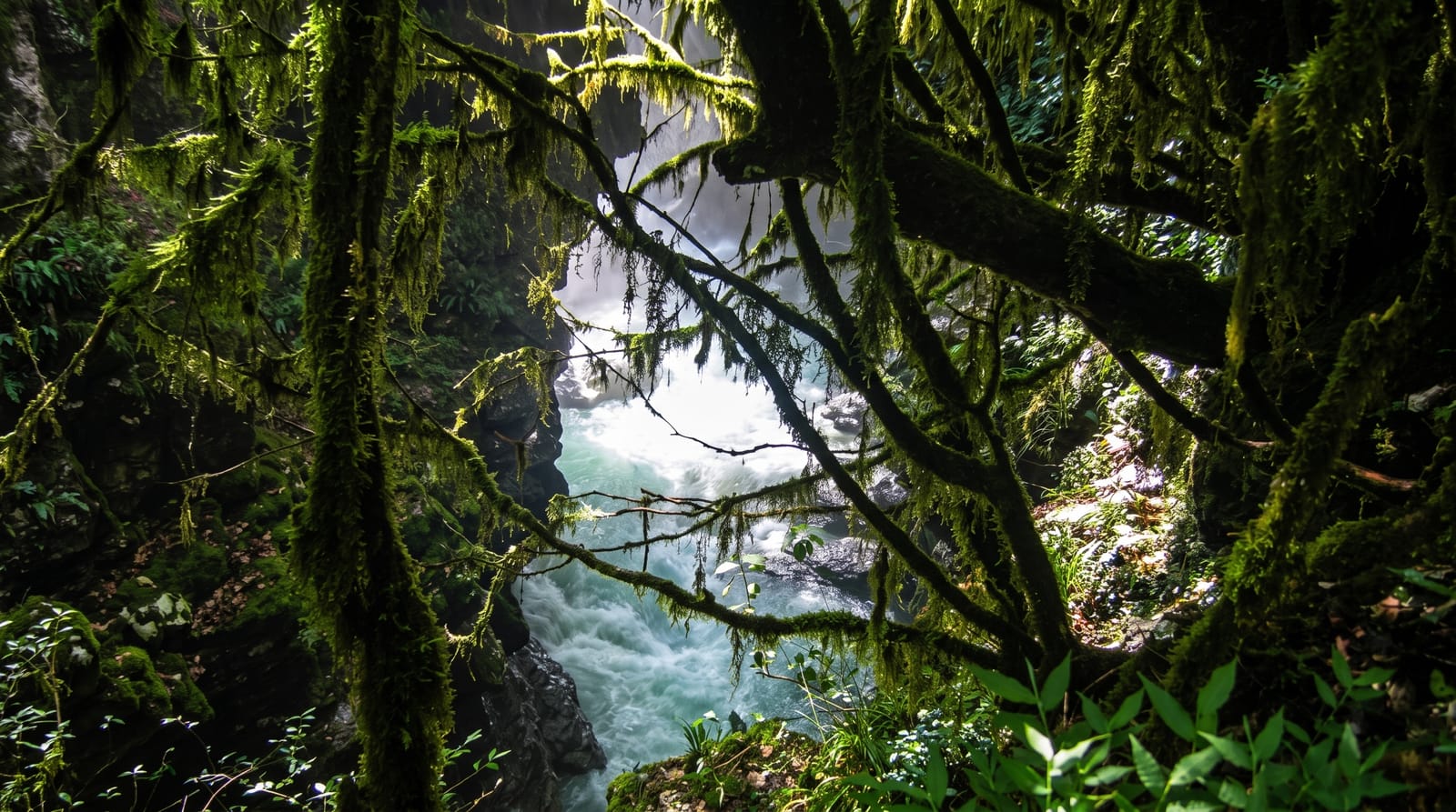 Martvili Canyon