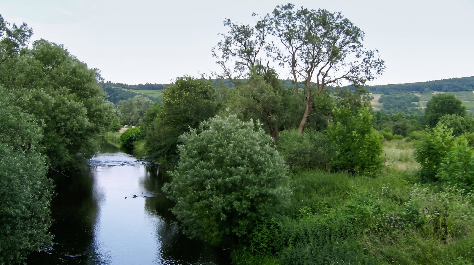 Ahr Valley Wine Region