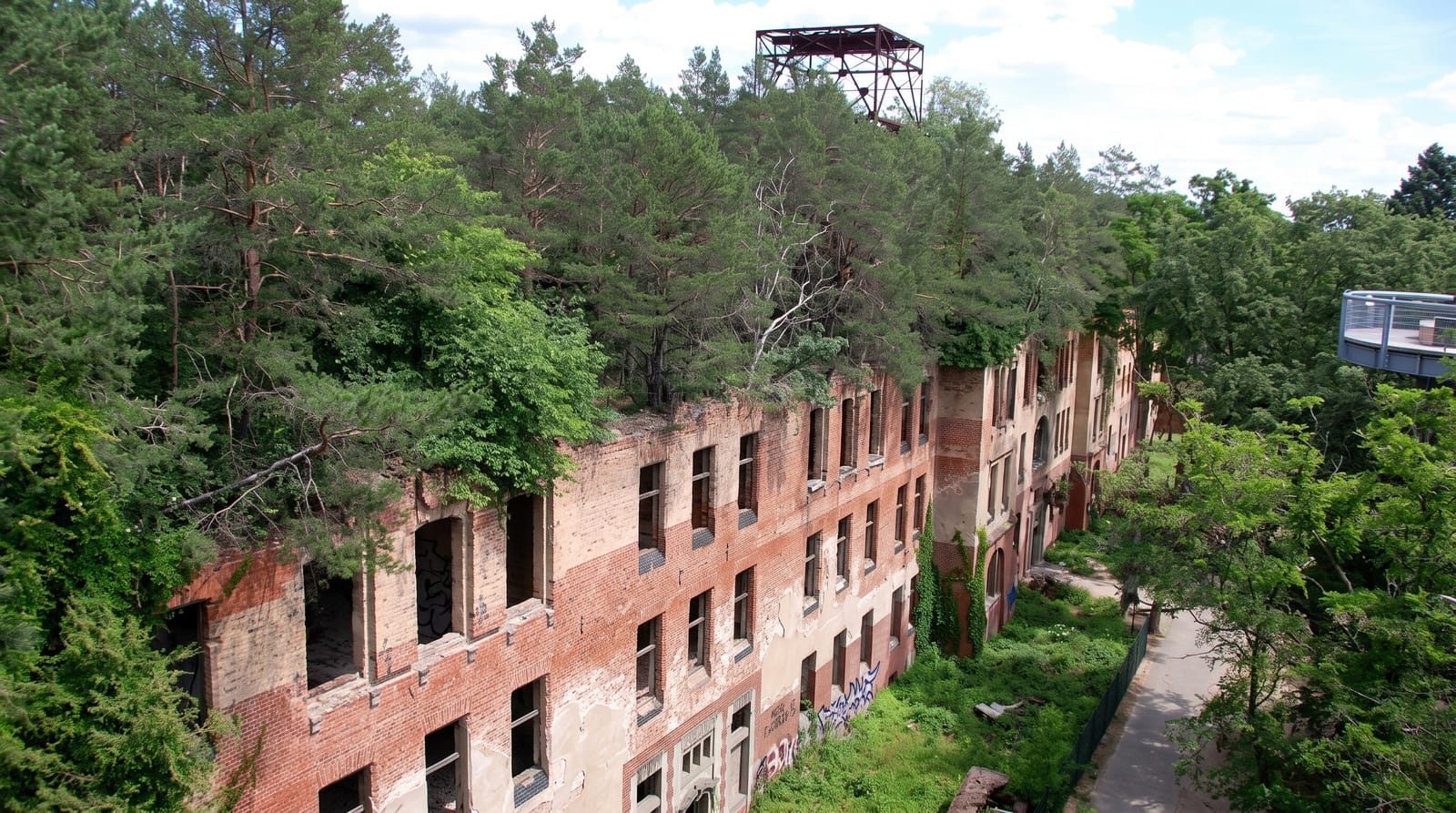 Beelitz Treetop Walk