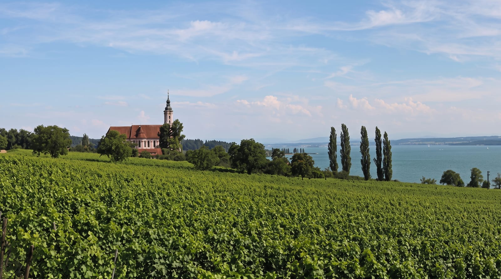 Birnau Basilica