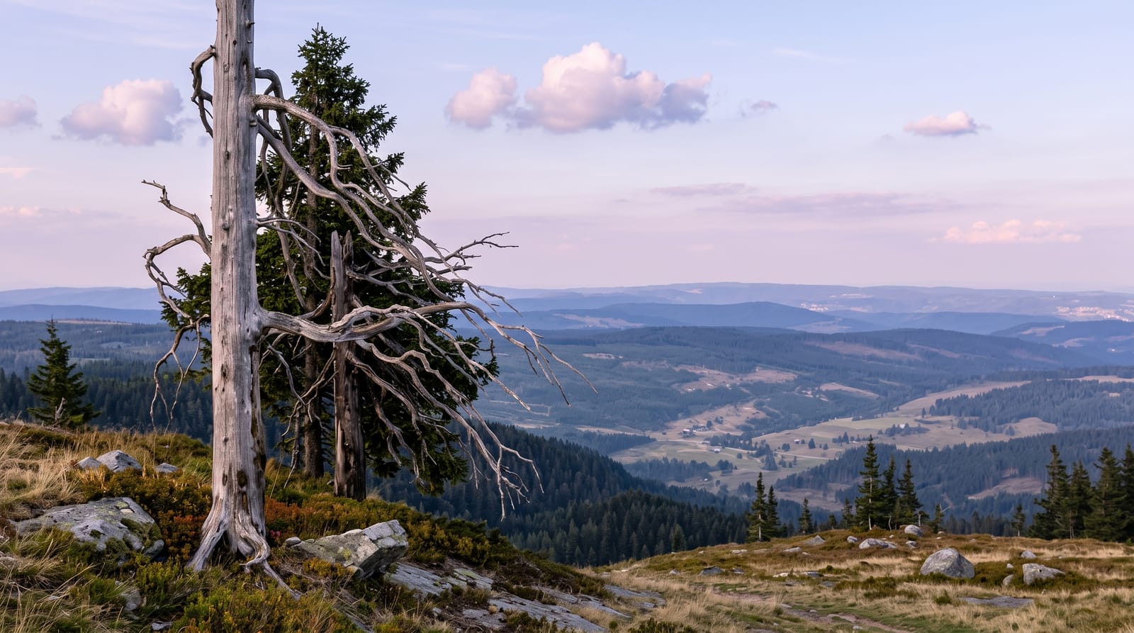 Feldberg
