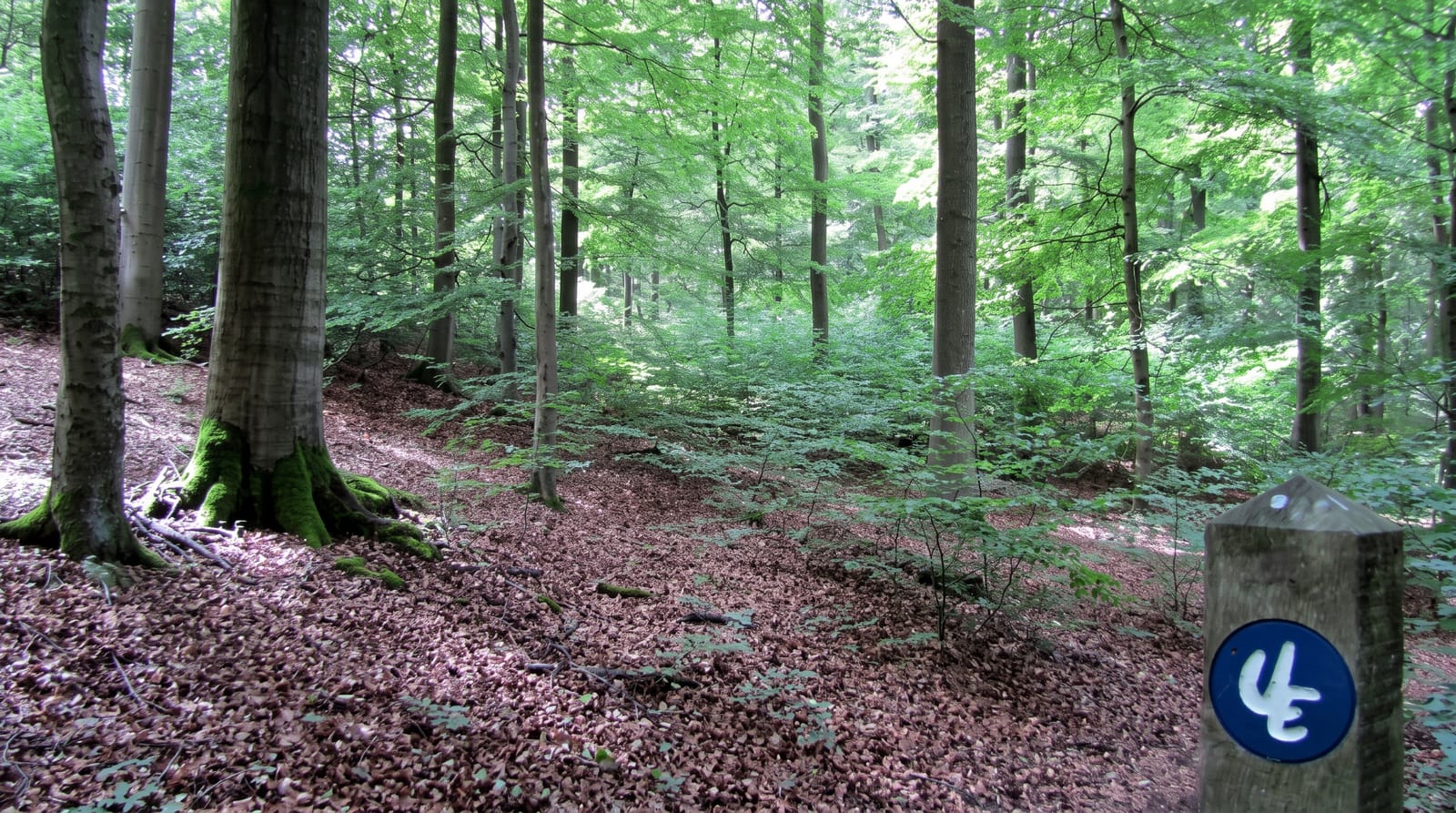 Kellerwald-Edersee National Park