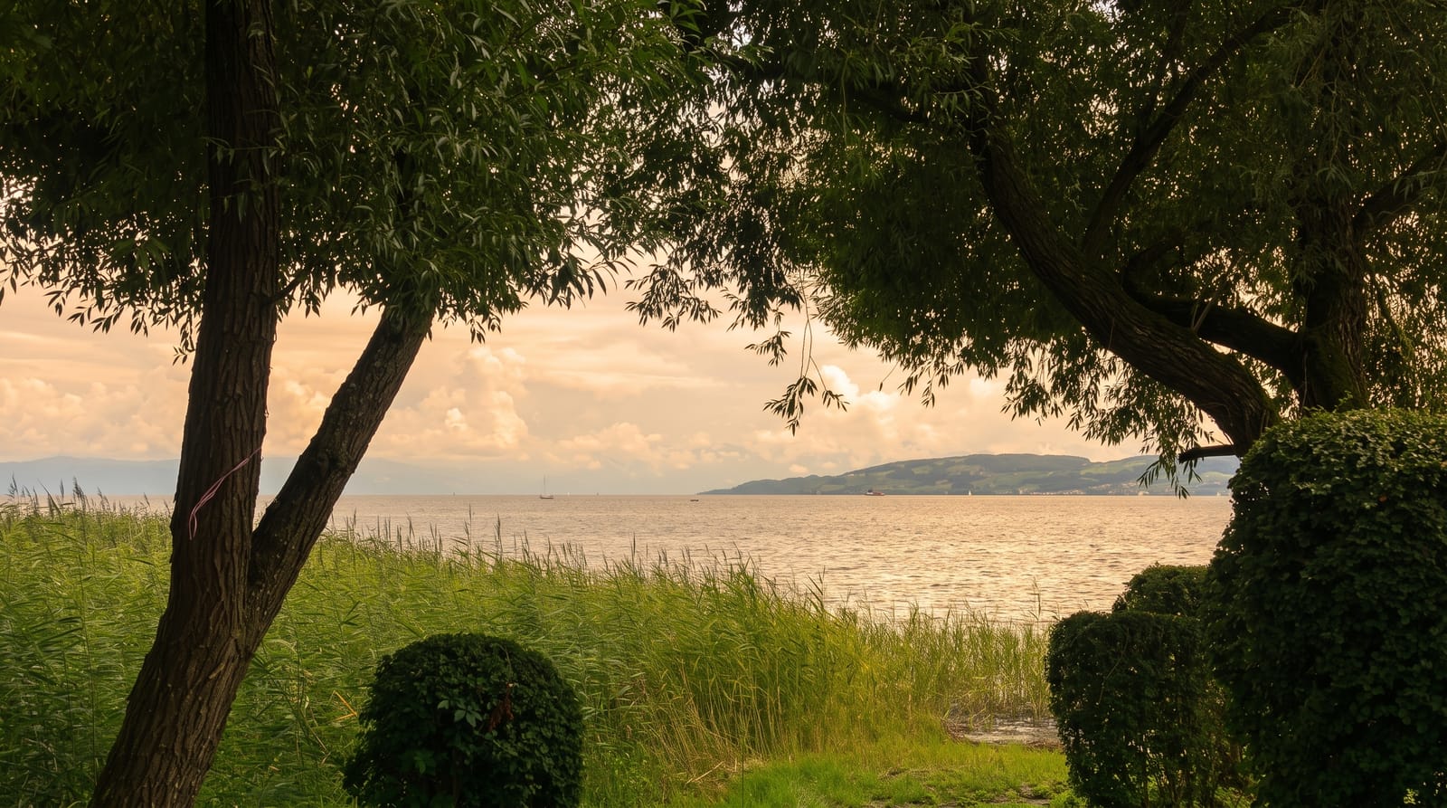 Lake Constance