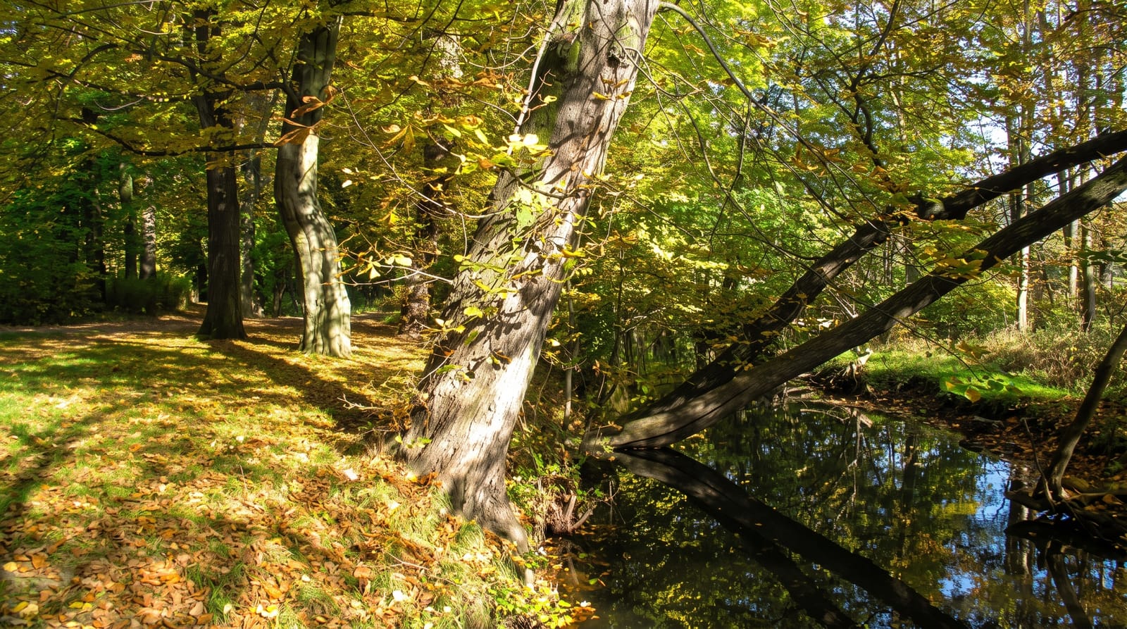 Märkische Schweiz and Buckow