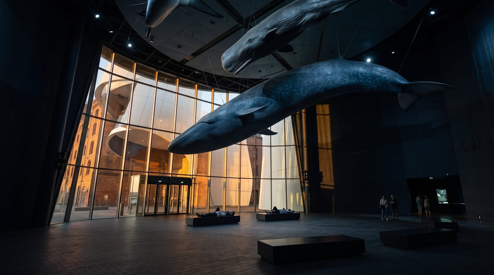 Ozeaneum Stralsund