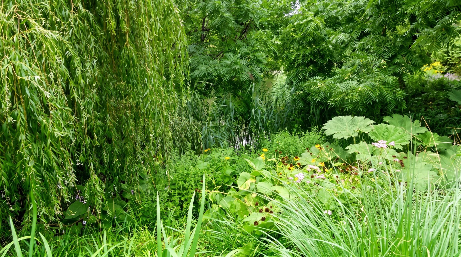 Planten un Blomen