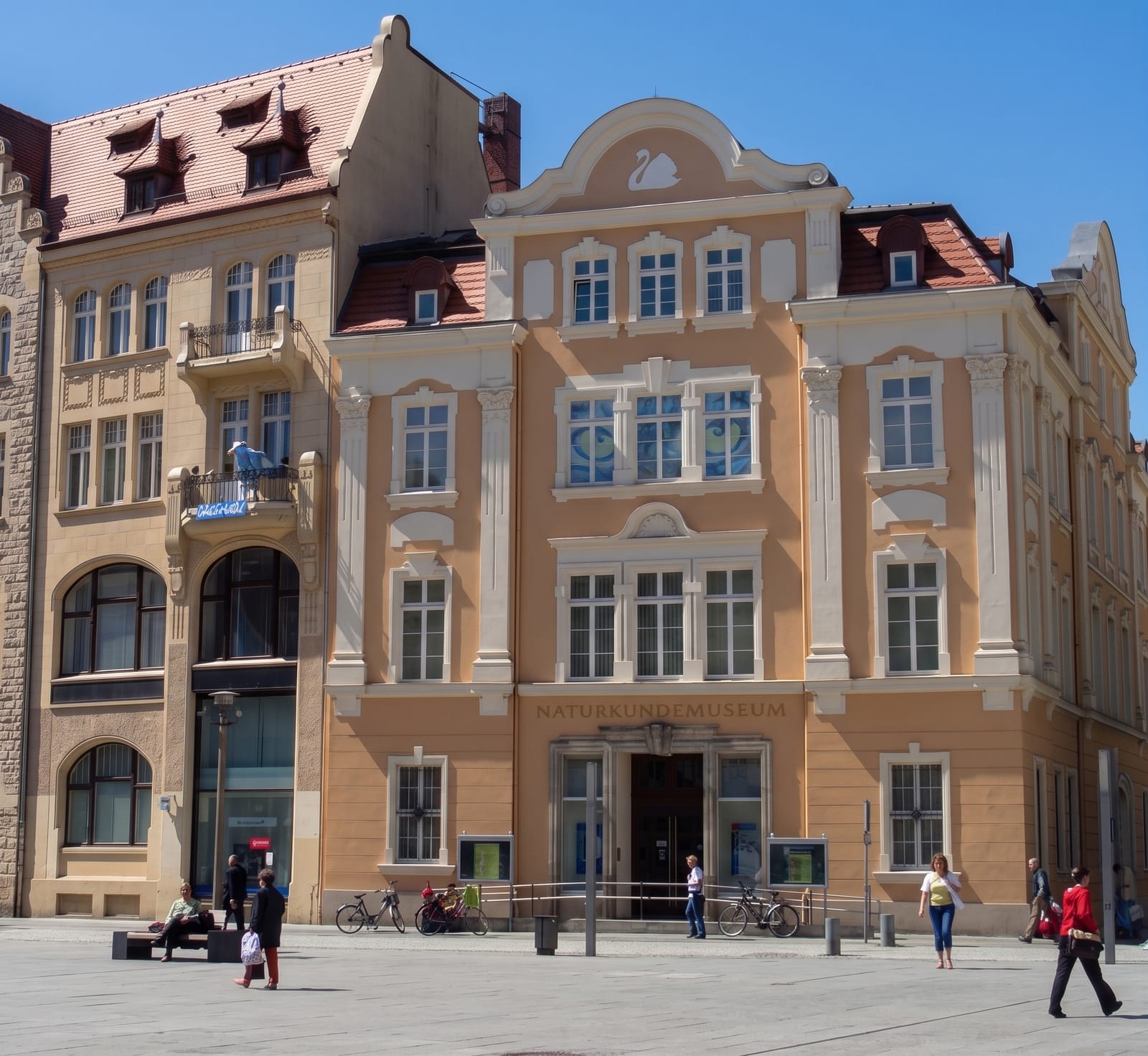 Senckenberg Natural History Museum