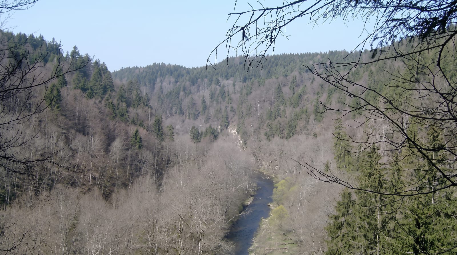 Wutach Gorge