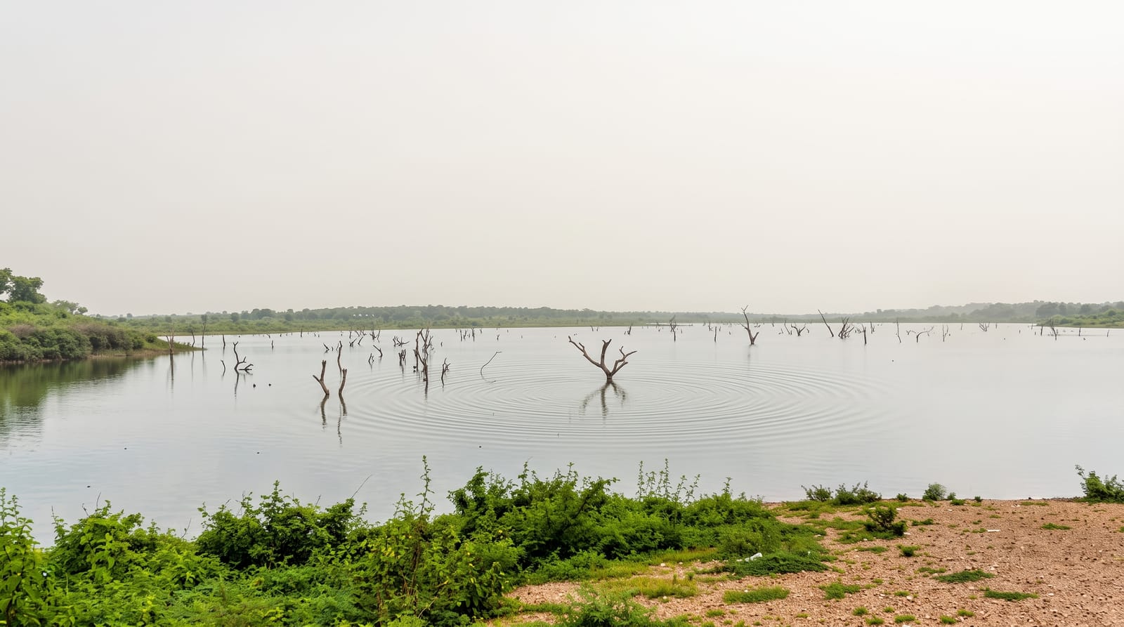 Lake Volta