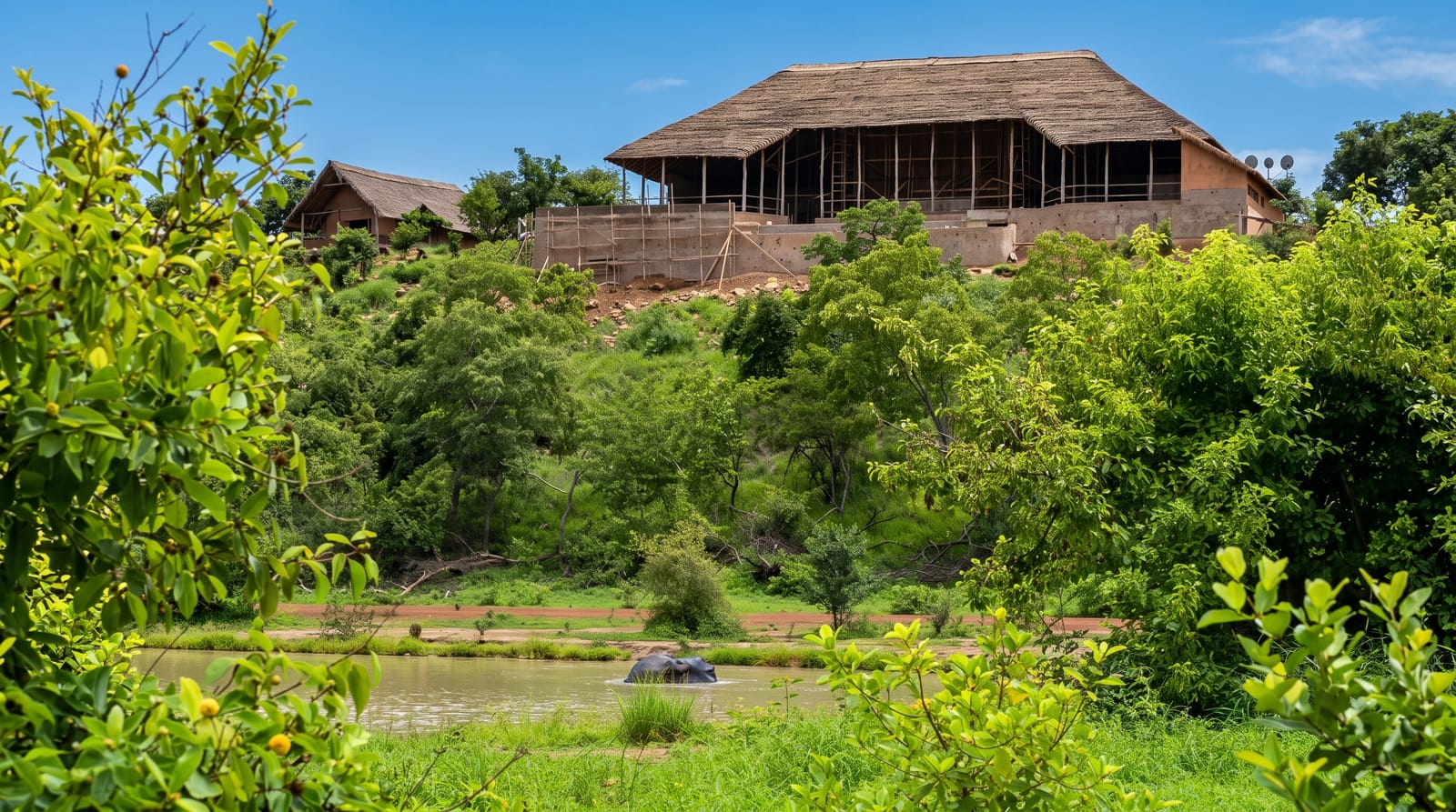 Mole National Park