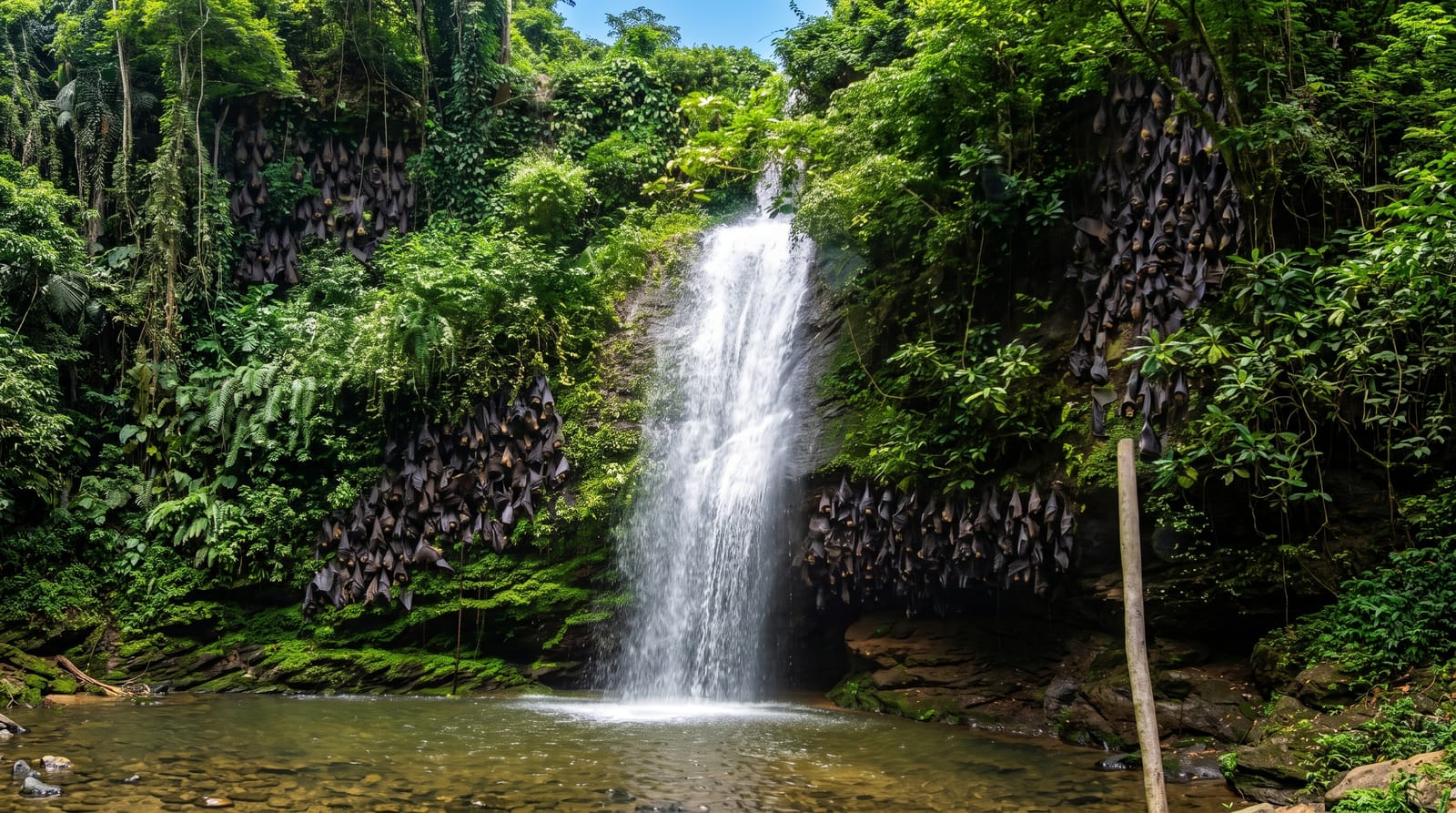 Wli Waterfall