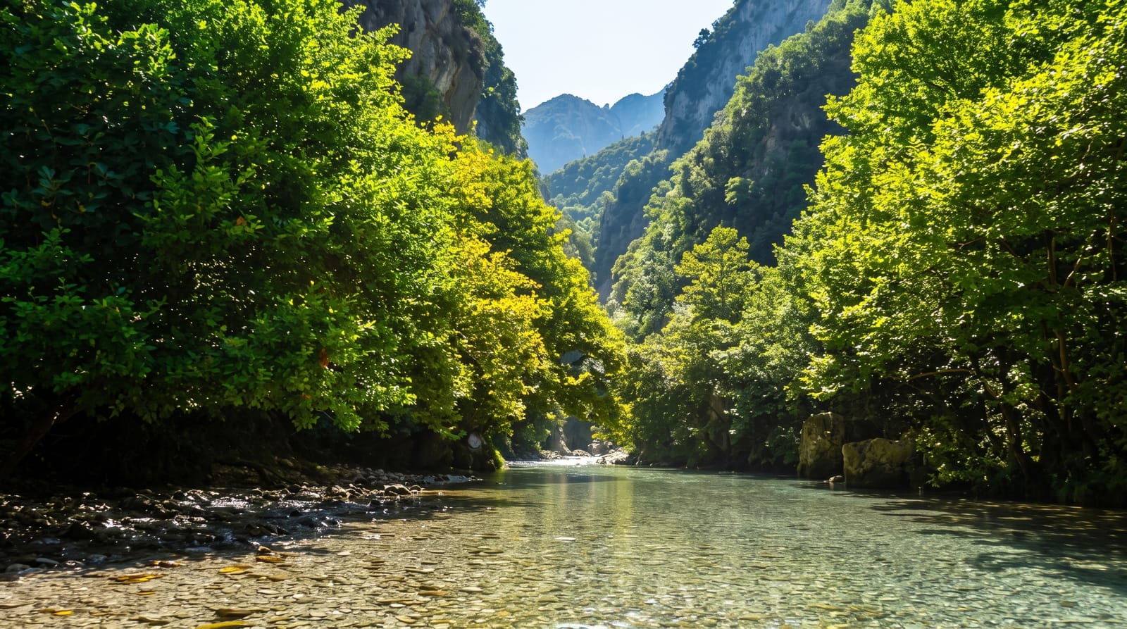 Acheron Springs