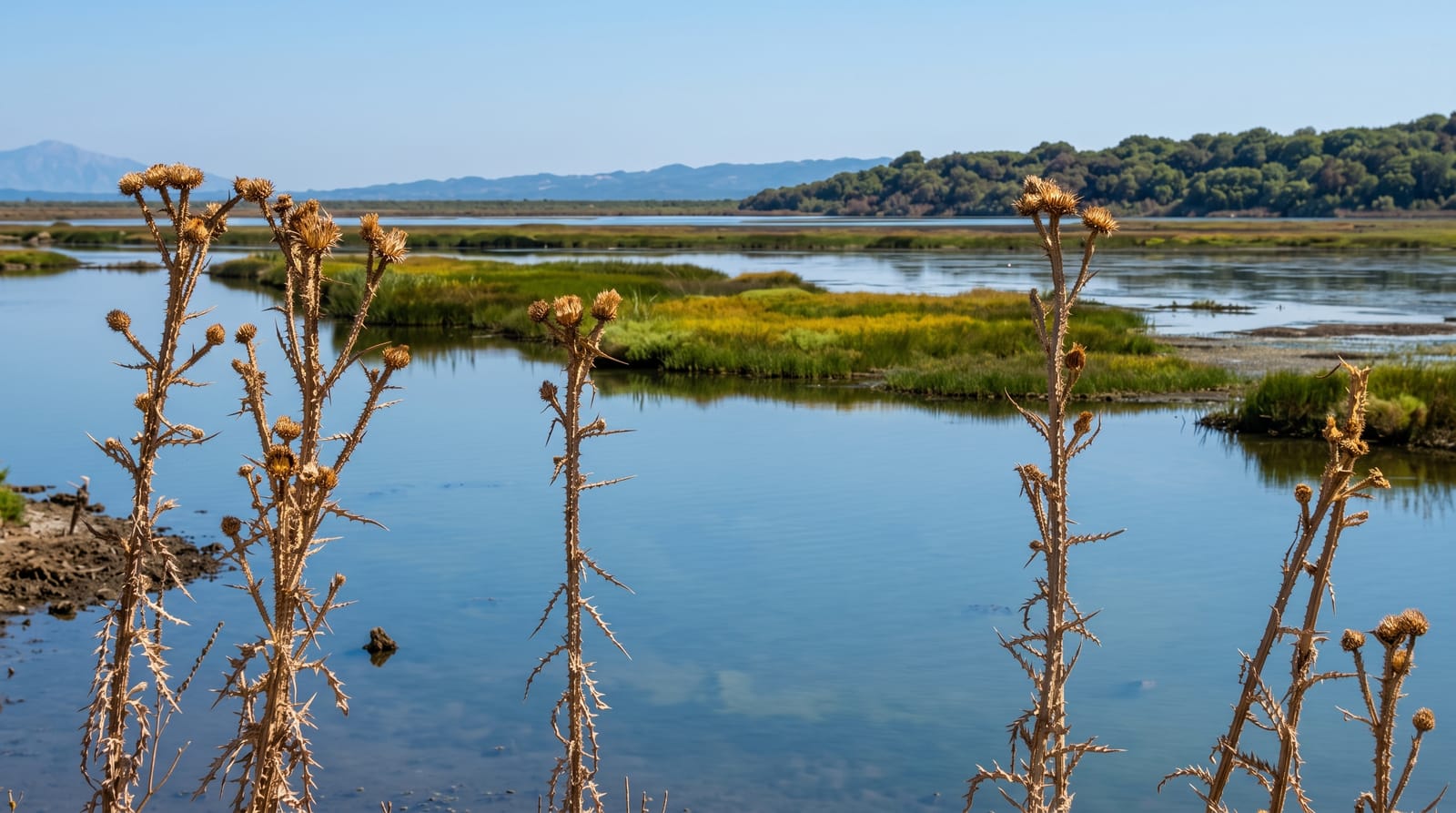 Ambracian Gulf