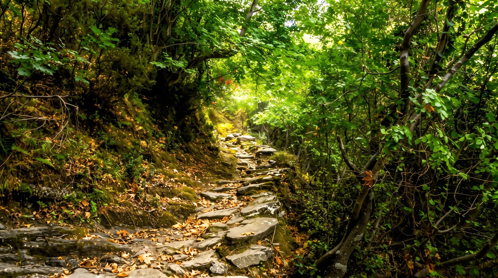 Dimosari Gorge