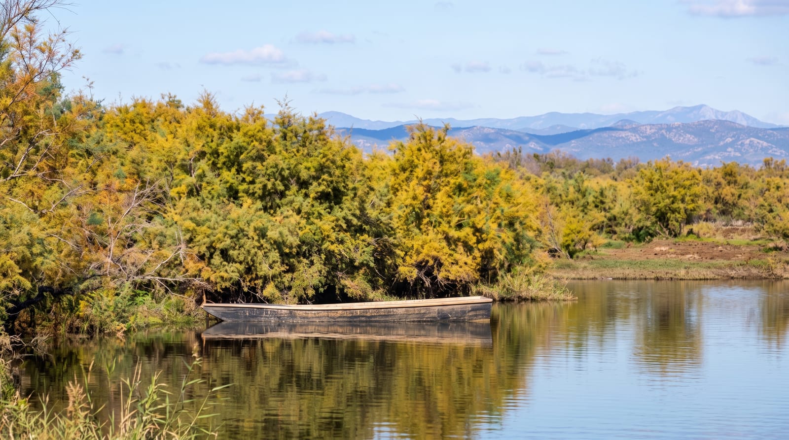 Evros Delta