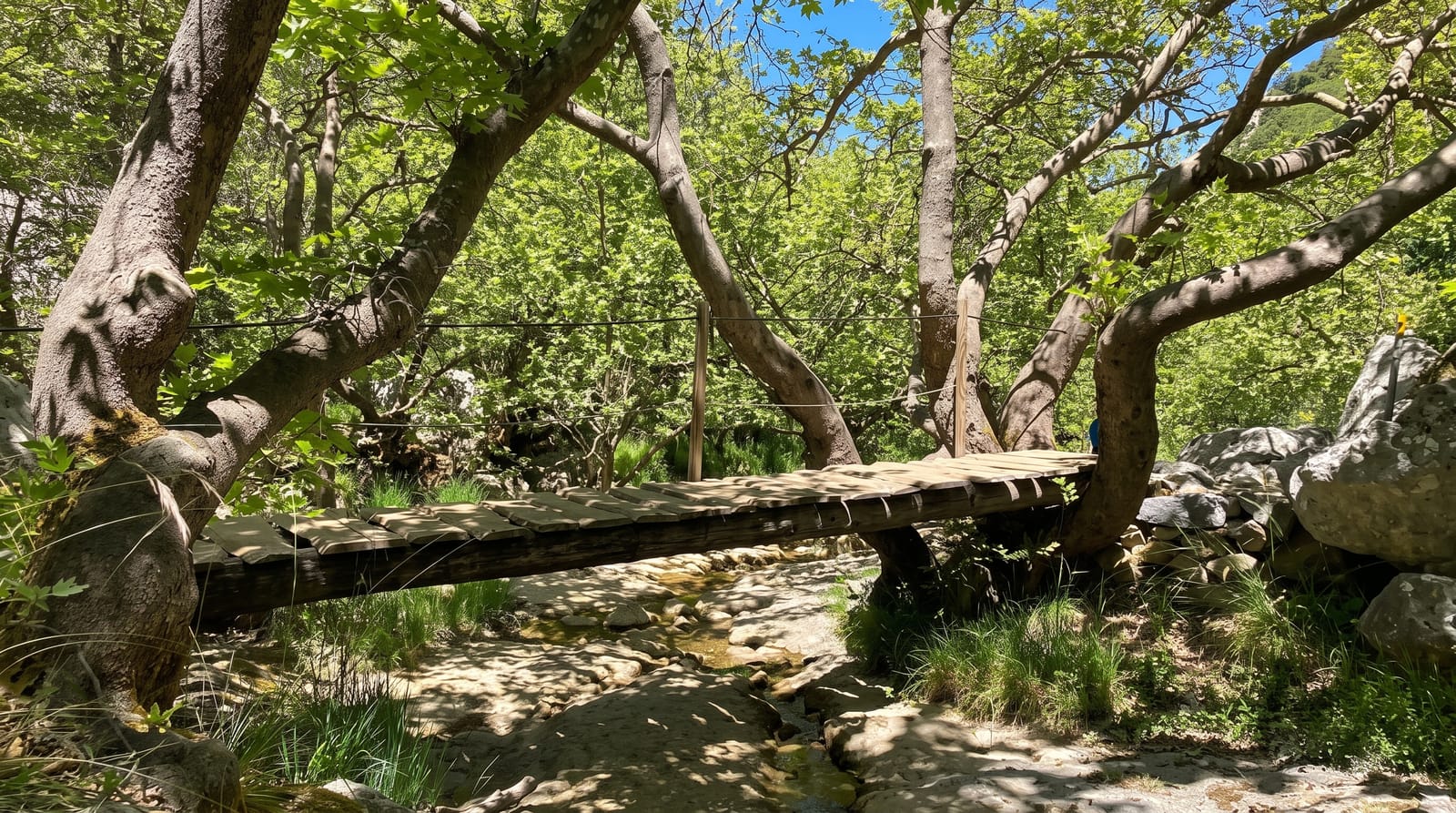 Menalon Trail