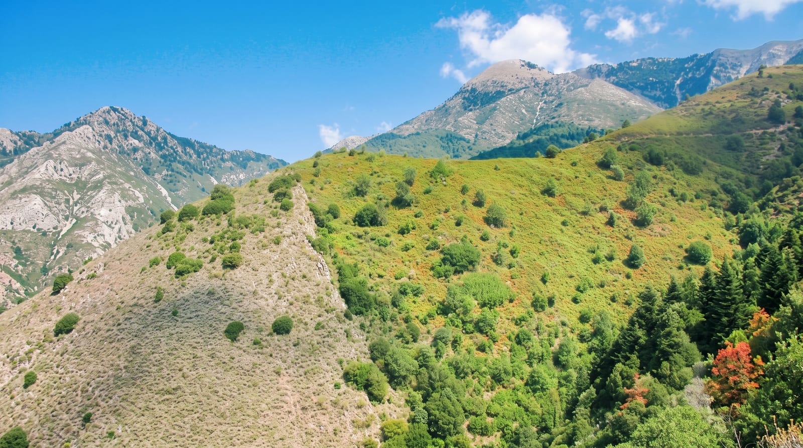 Mount Taygetus