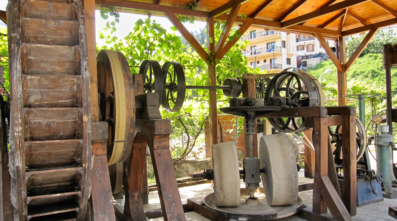 Museum of the Olive and Greek Olive Oil