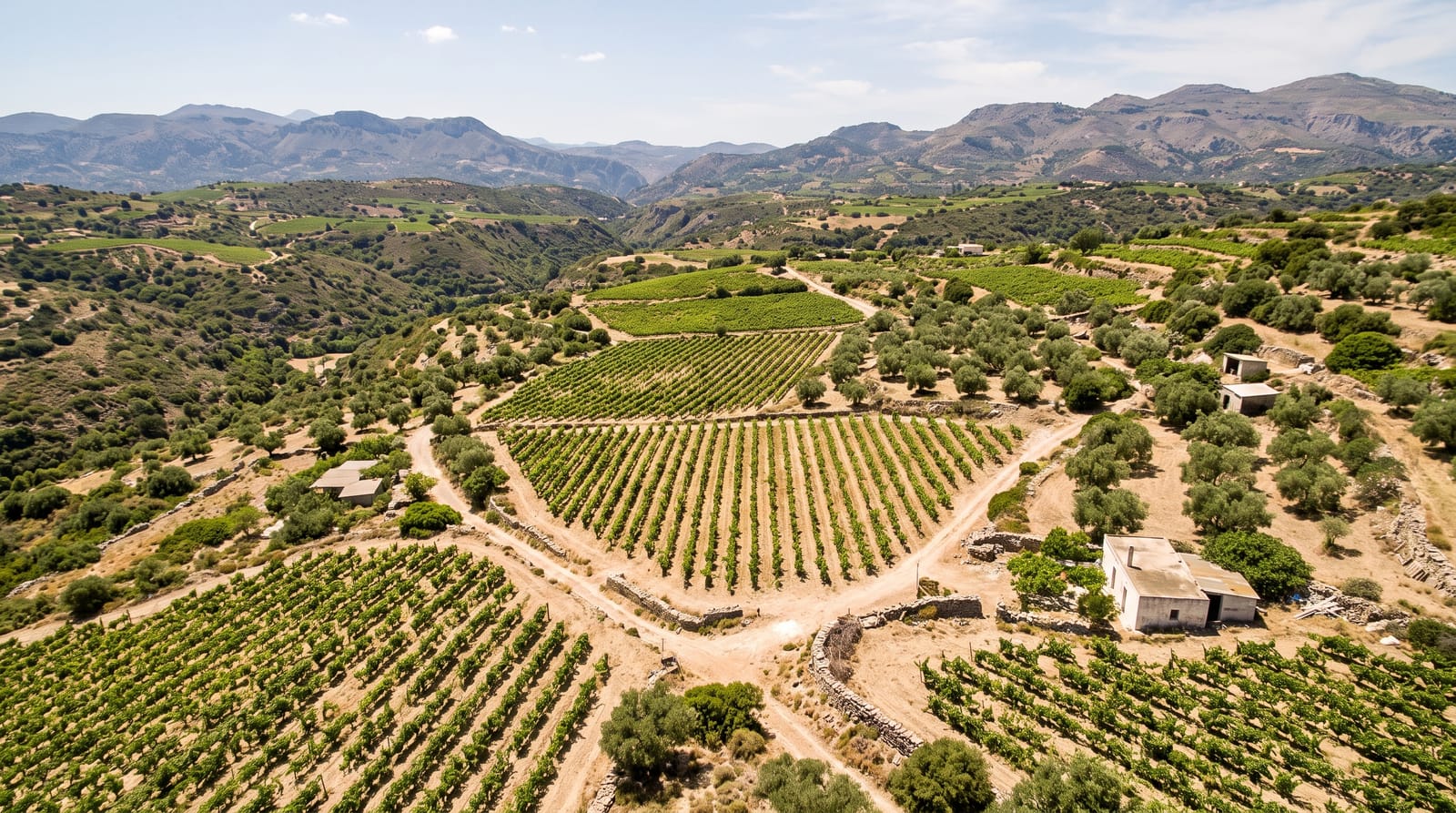 Peza Wine Region