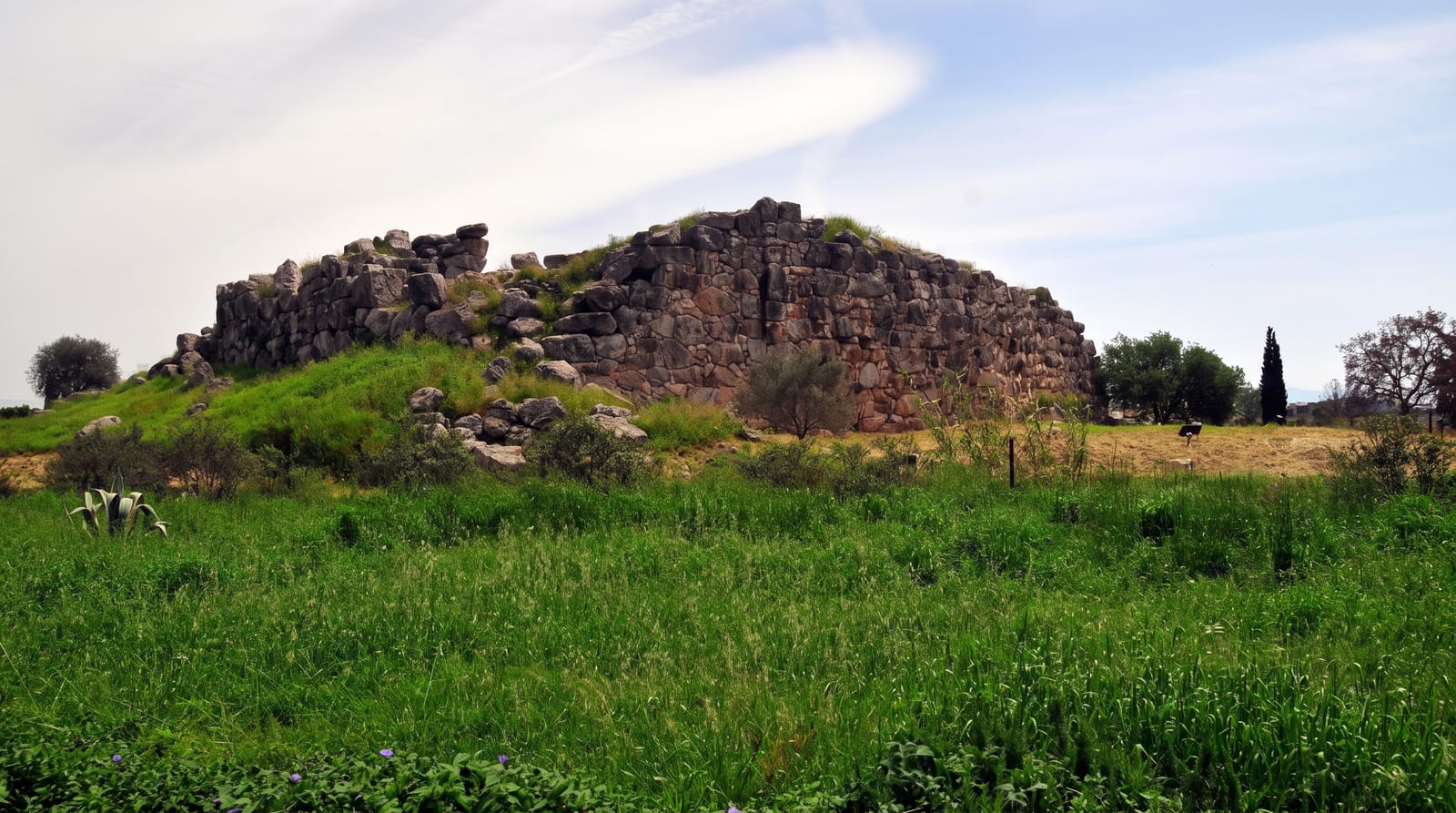 Tiryns